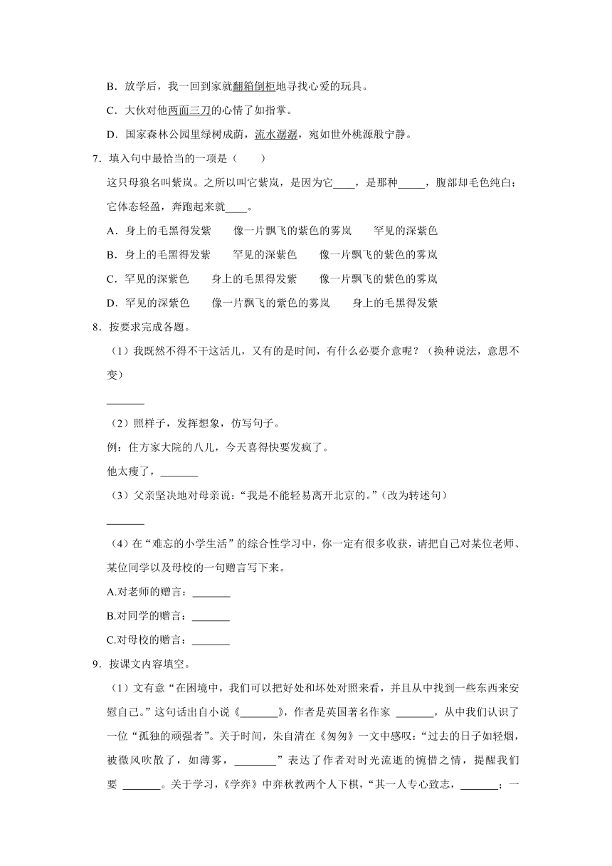 陕西省安康市汉阴县2021-2022学年六年级下学期期末（小升初）学科素养检测语文试题（有解析）