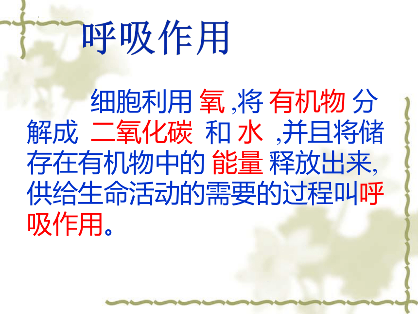 3.5.2绿色植物的呼吸作用课件(共29张PPT)2022-2023学年人教版生物七年级上册