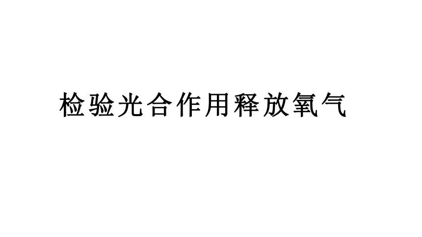 3.5.1 检验光合作用释放氧气 实验说课课件(共28张PPT) 北师大版生物七年级上册