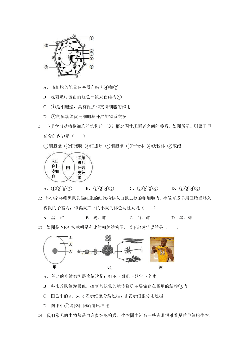 2020-2021学年山东省东营市河口区六年级（上）期末生物试卷（五四学制）（word版，含解析）