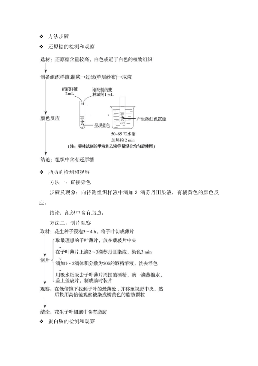 人教版（2019）必修一备考期末-《组成细胞的分子》-“细胞中的元素和化合物”章节重点归纳&典例示范学案（含答案）