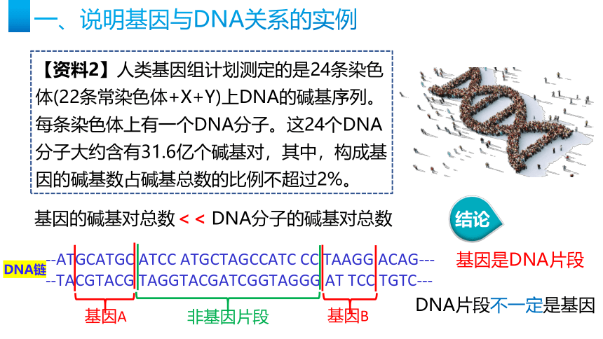 3.4 基因通常是有遗传效应的NA片段课件(共18张PPT1个视频)-人教版（2019）必修2