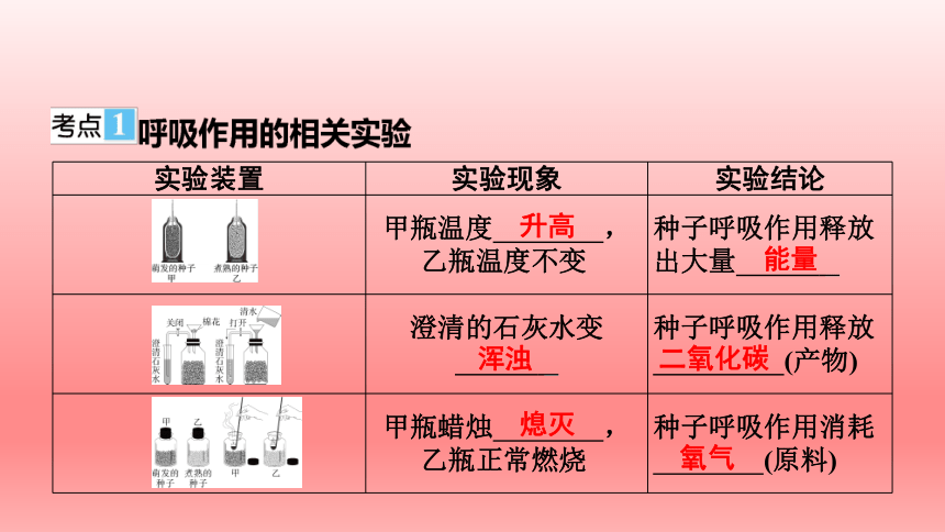 2023年中考生物复习专题课件1(共51张PPT)★绿色植物与生物圈中的碳—氧平衡　爱护植被，绿化祖国