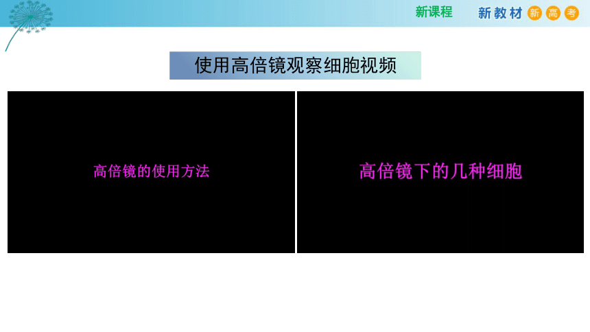 1.2细胞的多样性和统一性（第1课时）(课件共20张PPT)