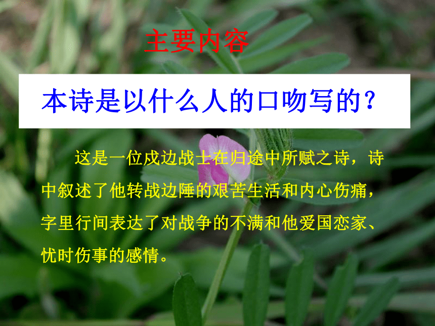 部编版六年级语文下册--古诗词诵读1.采薇（节选）课件(共63张PPT)