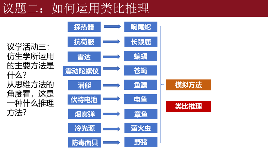 7.2类比推理及其方法课件(共25张PPT)-2023-2024学年高中政治统编版选择性必修三逻辑与思维