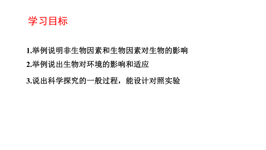 初中生物人教版七年级上册1.2.1生物与环境的关系（第一课时）课件(共22张PPT)