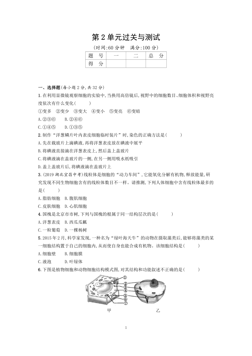 北师大版七年级生物上册第2单元生物体的结构过关与测试（word版含答案）