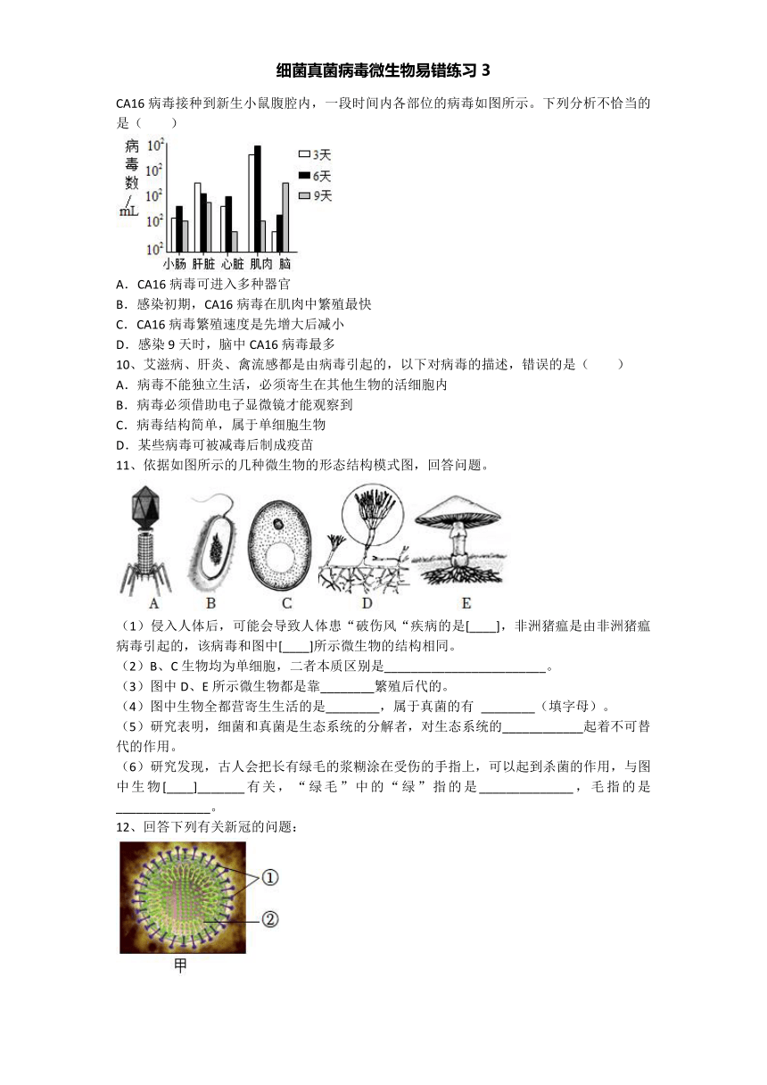 细菌真菌病毒微生物易错练习（含答案）