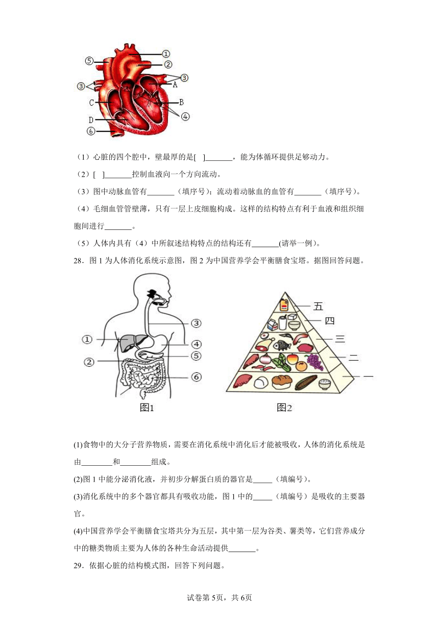 北师大七年级下-期中试卷（三）（含解析）