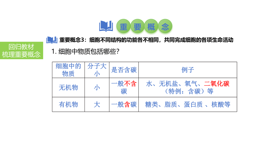 2024中考一轮复习：第4讲 细胞的结构及功能、细胞的生活课件(共38张PPT)