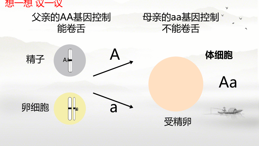 7.2.3基因的显性和隐性 课件(共39张PPT)人教版八年级下册