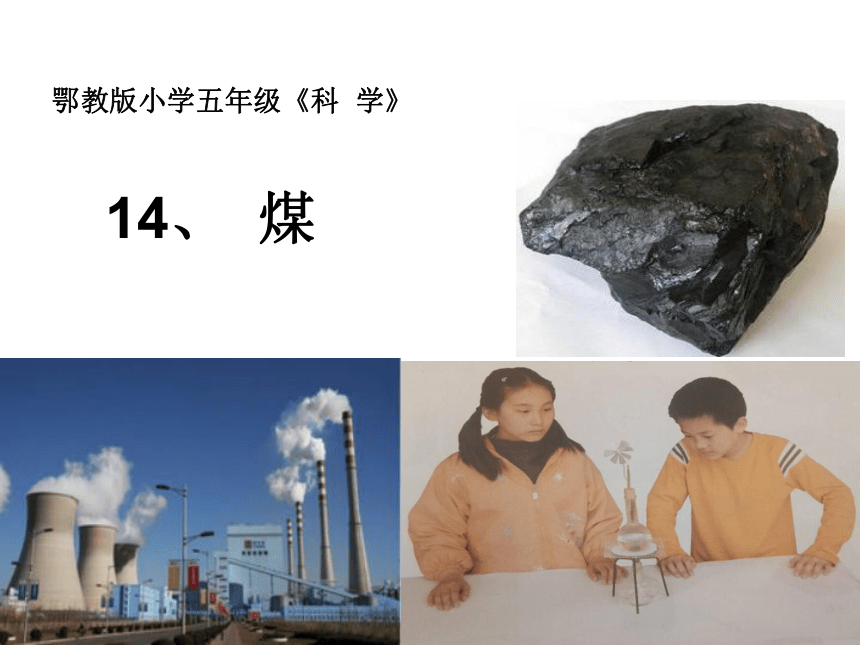鄂教版（2001）五年级科学下册课件3.14 煤（课件11ppt）