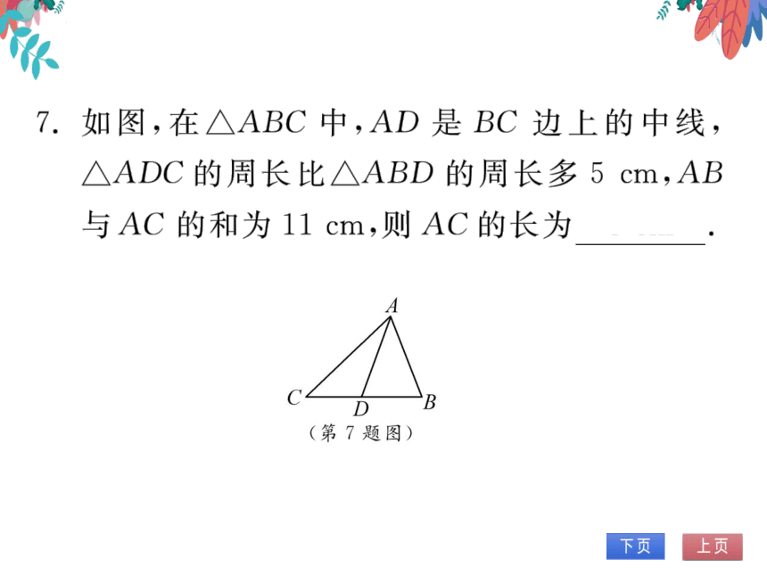 第11章 重难点突破　习题课件