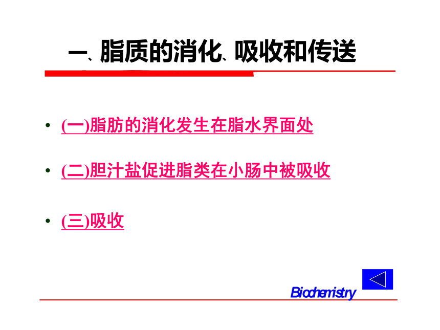 2020-2021高中生物竞赛脂肪酸的分解代谢课件(55PPT)