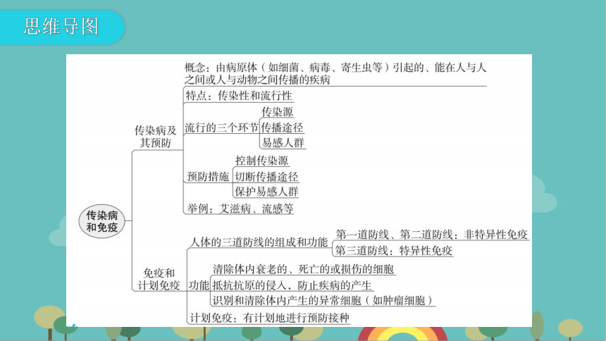 人教版生物八年级下册 第八单元第一章章末总结课件(共27张PPT)