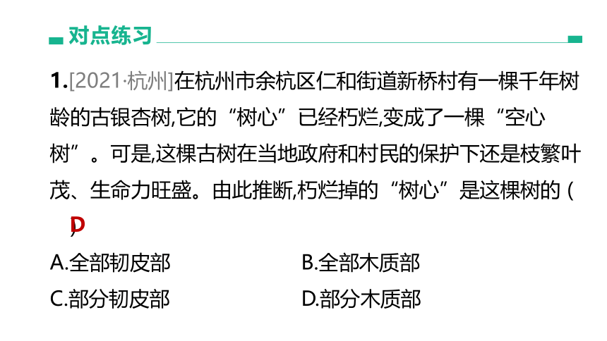 2022年浙江省中考科学一轮复习 第05课时　绿色植物的水和无机盐代谢（课件 34张PPT）