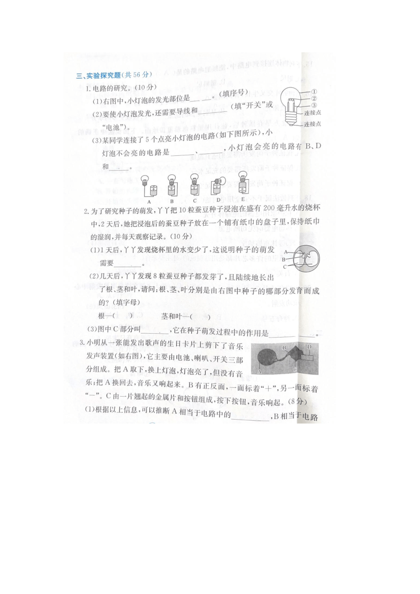 浙江省衢州市柯城区2022-2023学年四年级下学期期末科学试题（图片版，含答案）