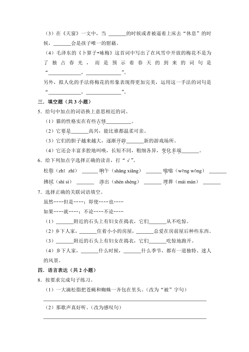 2022-2023学年语文四年级下册期中测试题（C卷） （含解析）