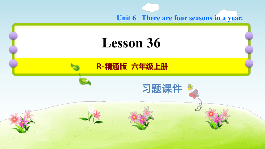 Unit 6 There are four seasons in a year Lesson 36习题课件 (共14张PPT)