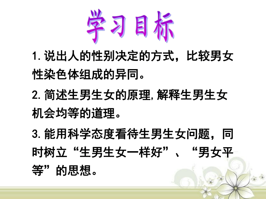 北师大版生物八年级上册 20.4 性别和性别决定 课件（24张PPT）