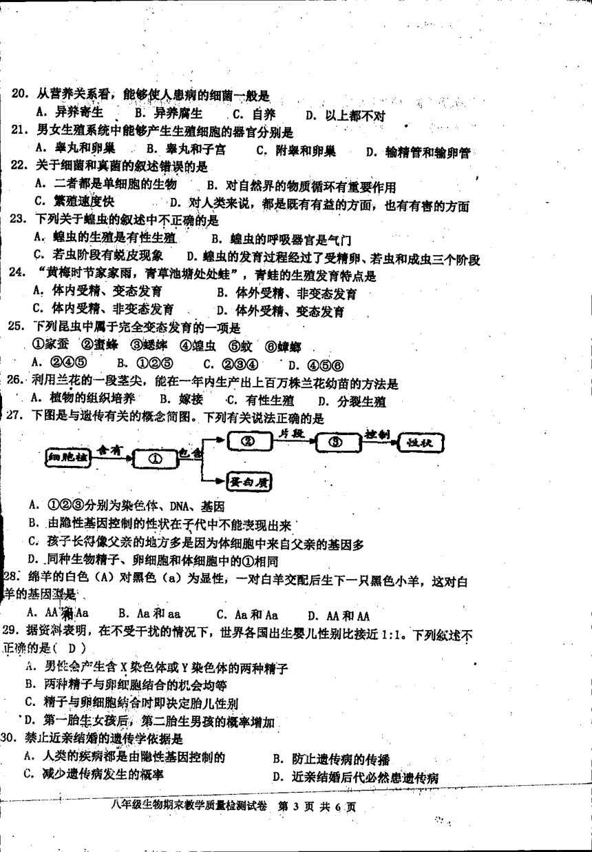 广东湛江市雷州市第三中学2021-2022学年上学期八年级期末生物（PDF版无答案）