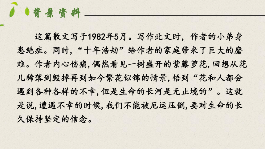 18  紫藤萝瀑布  第一课时  课件