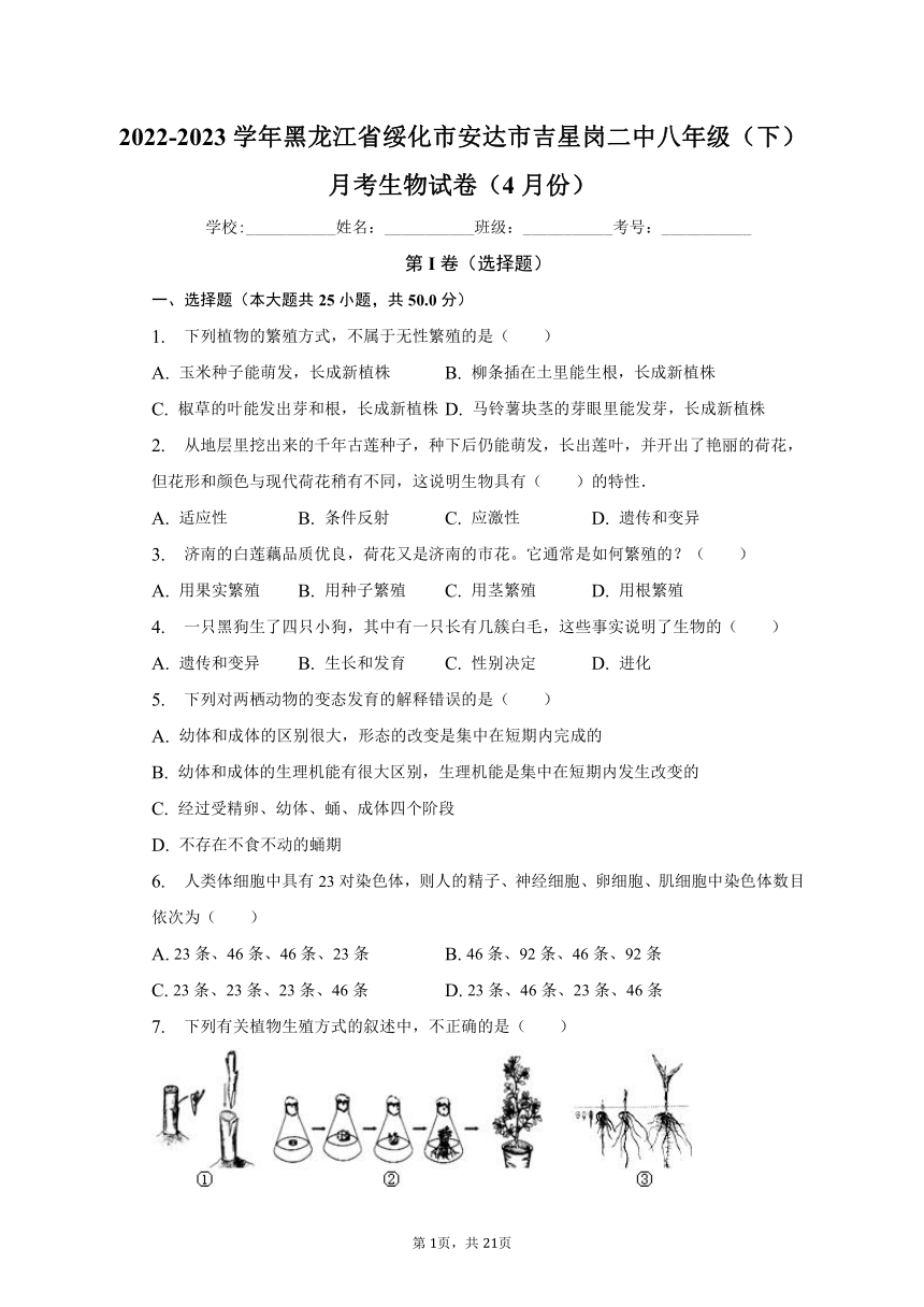 2022-2023学年黑龙江省绥化市安达市吉星岗二中八年级（下）月考生物试卷（4月份）（含解析）