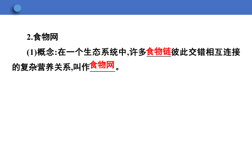 7.2.2 食物链和食物网课件(共24张PPT)2023-2024学年初中生物冀少版八年级下册