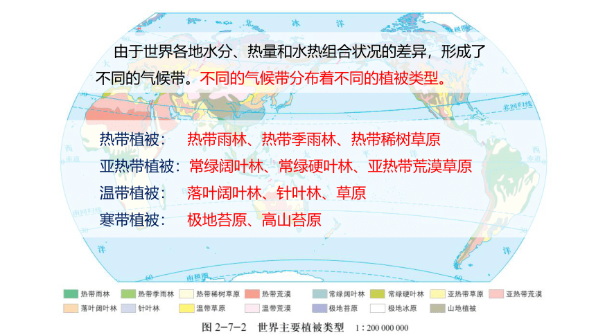 2.7 植被与自然环境之间的关系课件（49张）