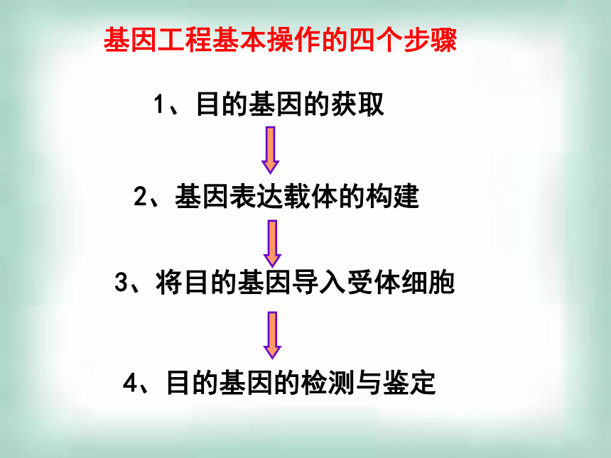 2020-2021学年高二下学期生物人教版选修三1.2基因工程的基本操作程序课件（32张ppt）