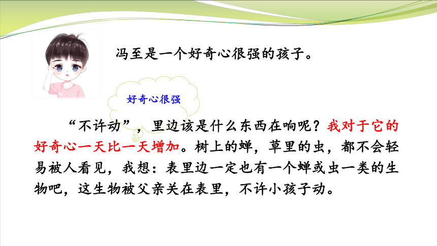 课文16 表里的生物（第二课时）课件(共31张PPT)