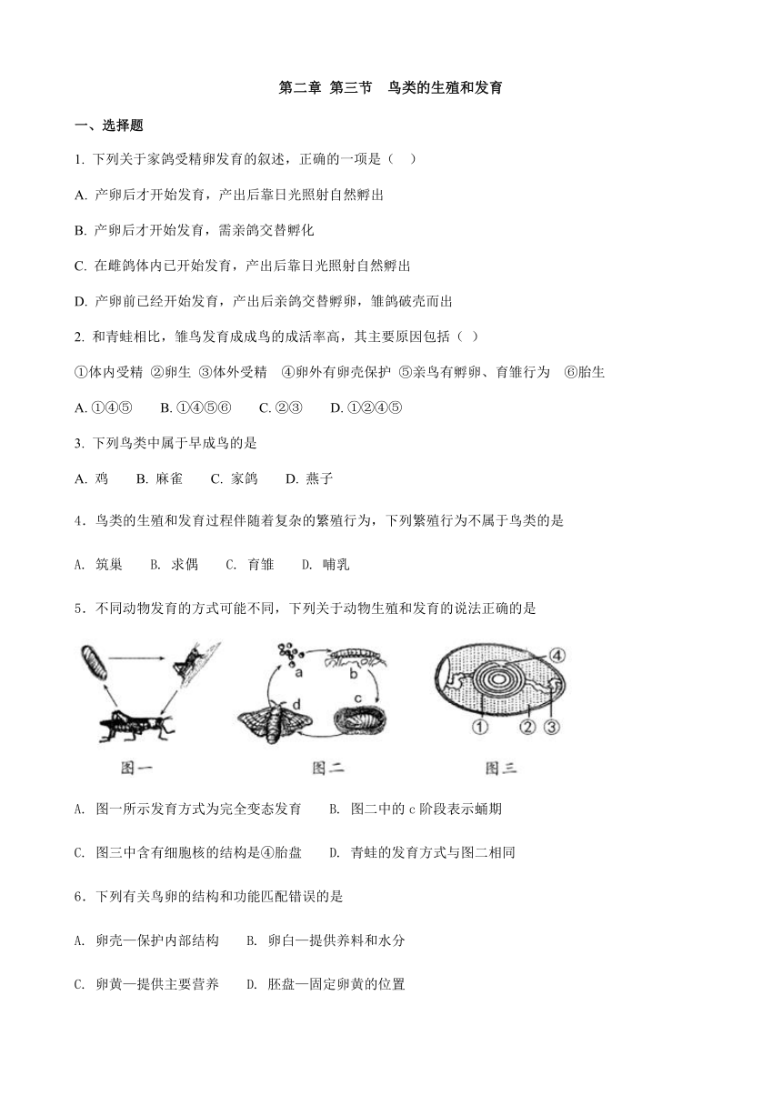 济南版生物 八年级上册 2.3 鸟的生殖发育 练习