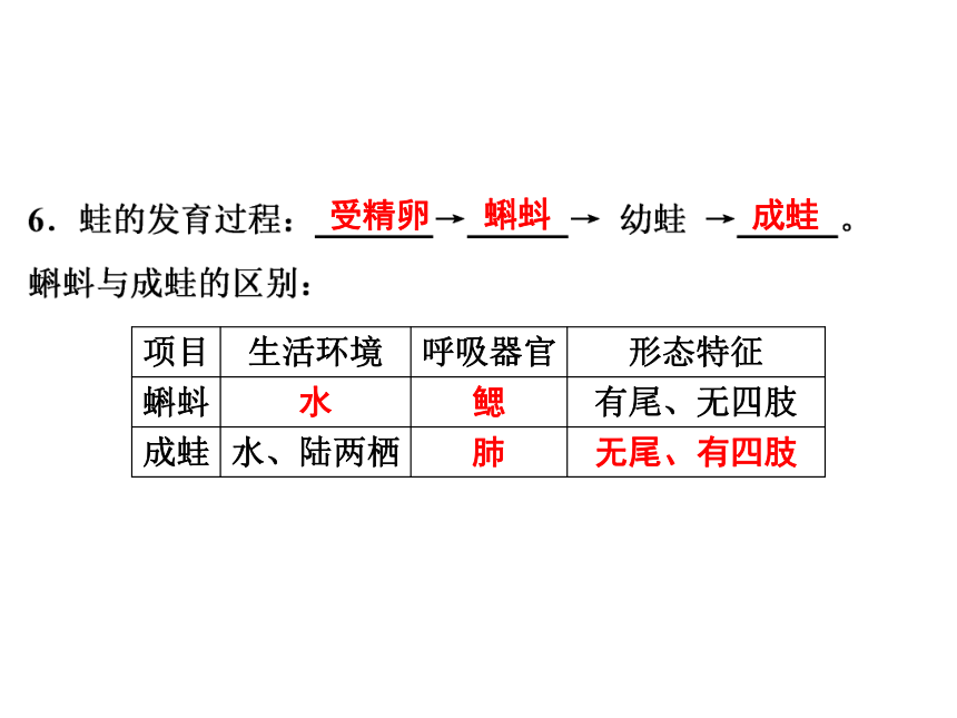 2021-2022学年度北师版八年级生物上册19.2 动物的生殖和发育课件(共31张PPT)