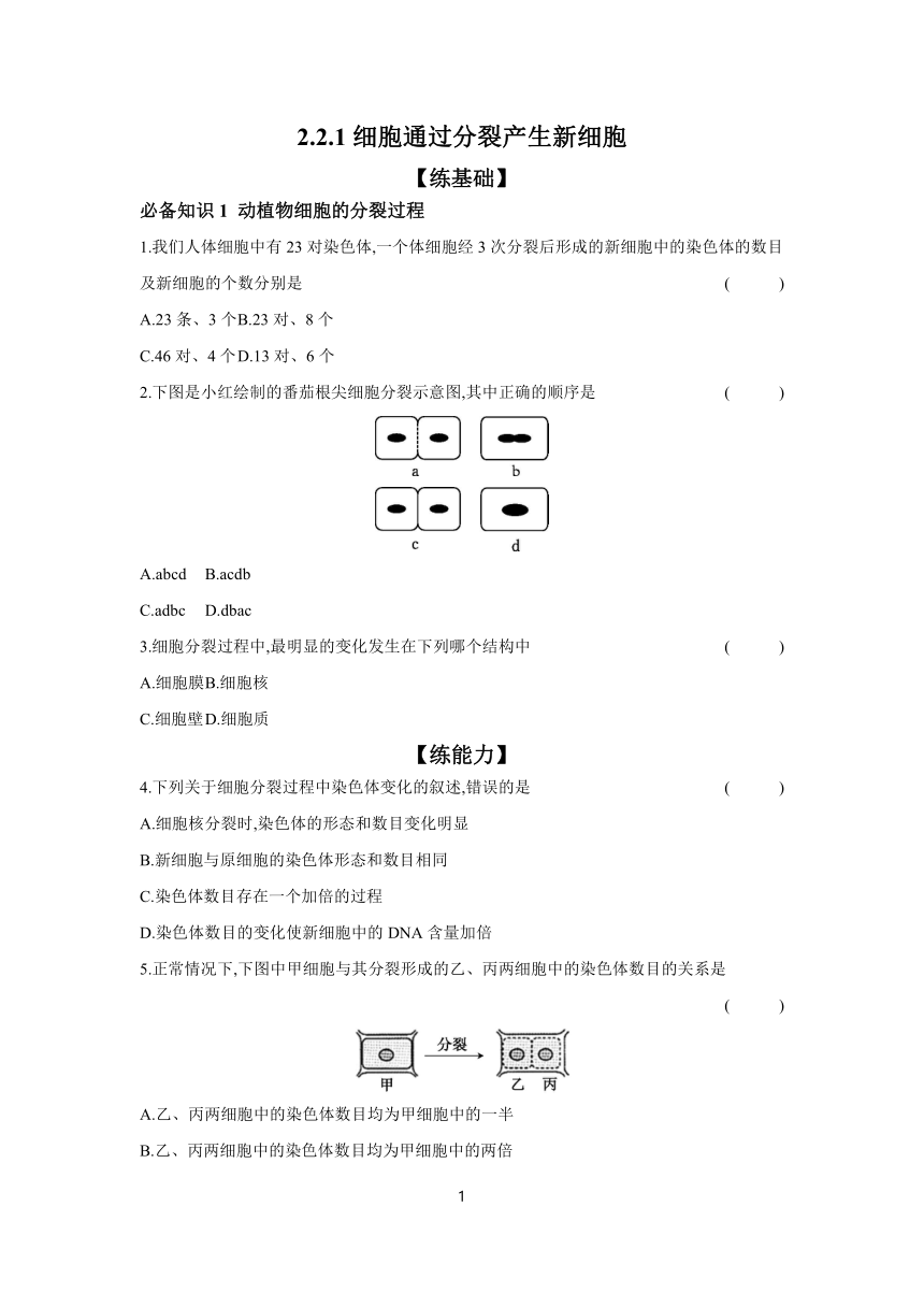 2.2.1细胞通过分裂产生新细胞 课时提高练 （含答案）2023-2024学年生物人教版七年级上册