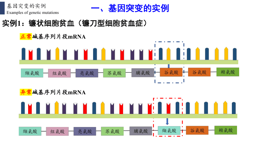 高中生物人教版（2019）必修2 5.1基因突变和基因重组（共42张ppt）