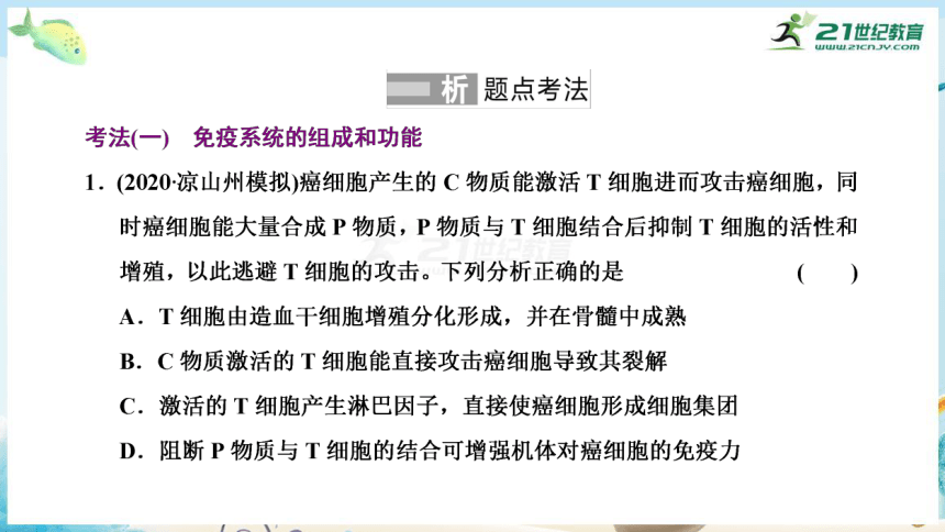 高三生物三轮复习专项突破12免疫调节与人体健康（共31张PPT）