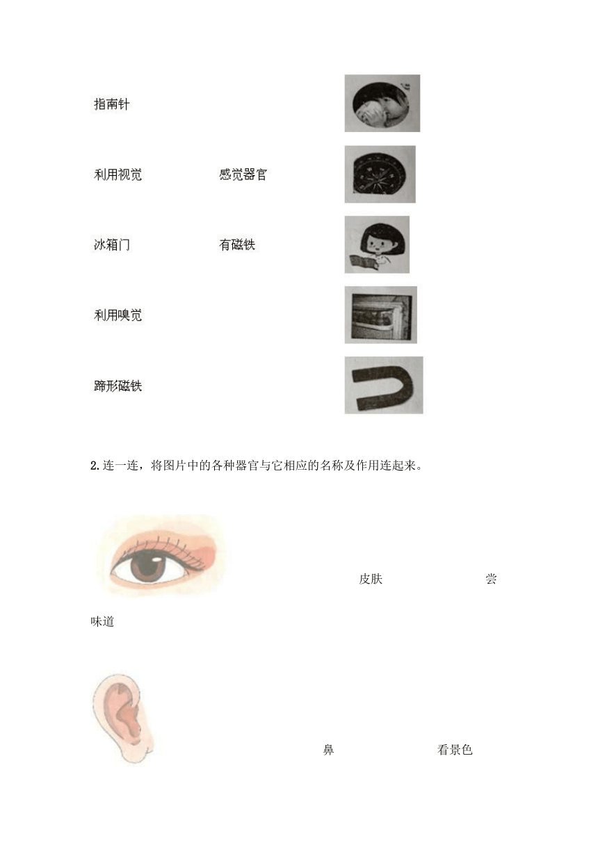 教科版（2017秋）二年级下册科学试题-第二单元 我们自己 测试题 （含答案）