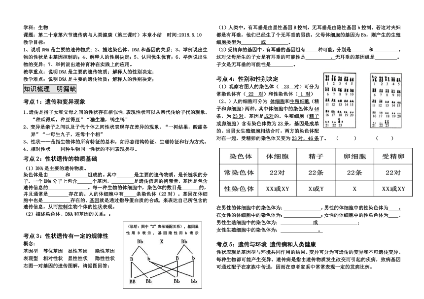 北师大版生物八年级上册 第20章 第6节 遗传病和人类健康（教案）