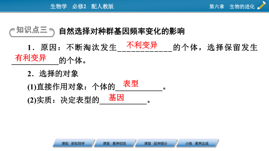 高中生物人教版必修二6.3种群基因组成的变化与物种的形成课件 （89张ppt）