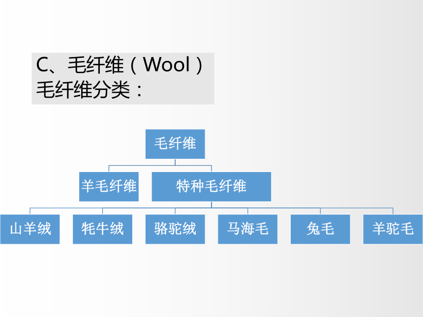 2.2毛和丝 课件(共61张PPT)-《服装材料》同步教学（中国纺织出版社）