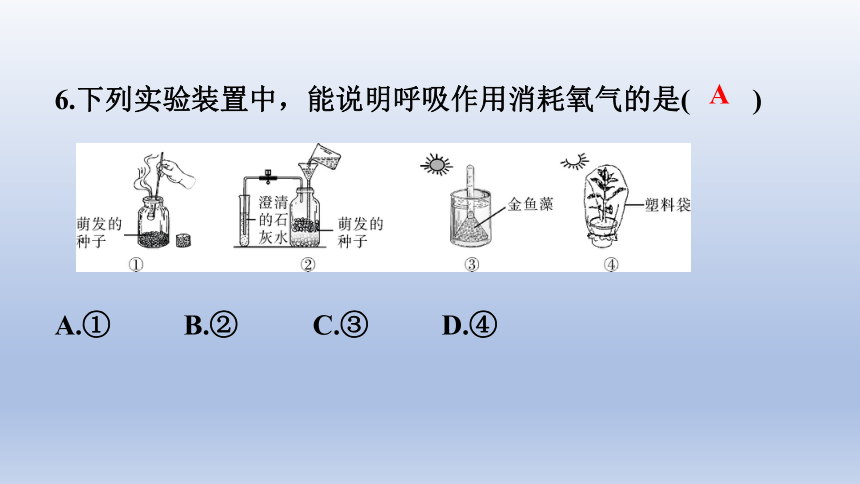 2023年中考生物复习专题★★★　绿色植物与生物圈中的碳—氧平衡　爱护植被，绿化祖国习题课件(共22张PPT)