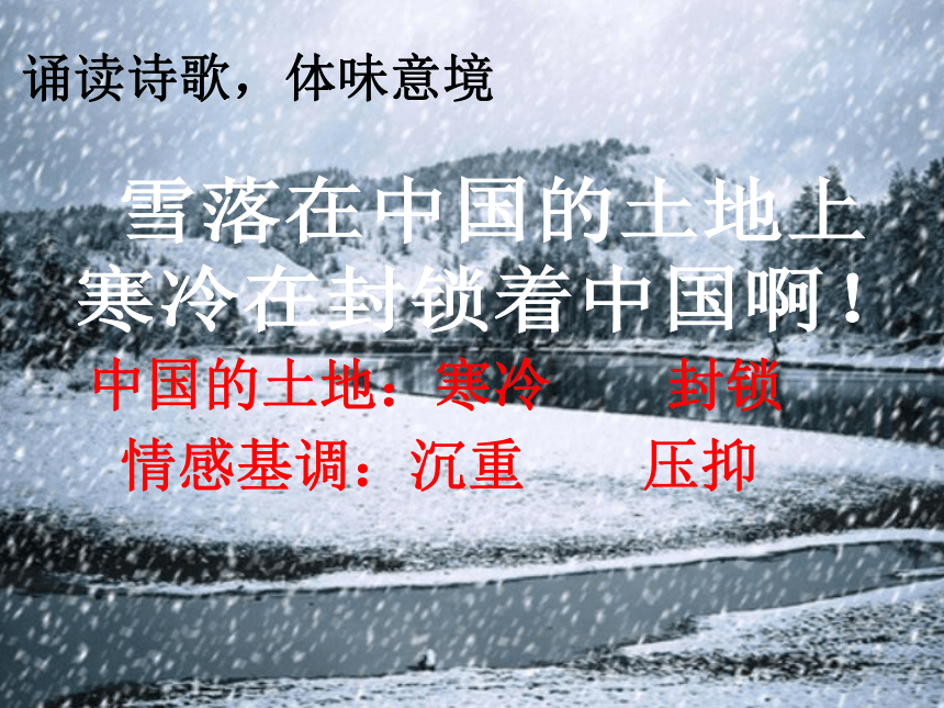 人教版高中语文选修--中国现代诗歌散文欣赏《雪落在中国的土地上》课件(共15张PPT)