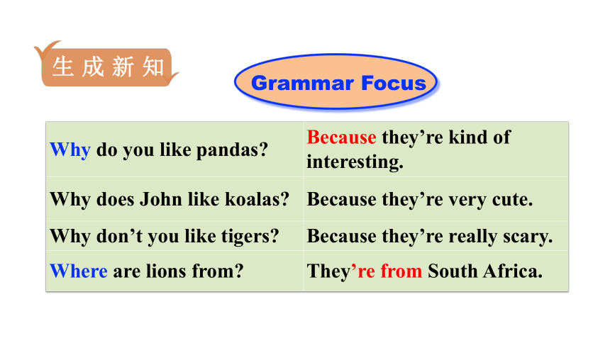 人教新目标(Go for it)版七年级下Unit 5 Why do you like pandas?　Section A (Grammar Focus－3c) 课件（17张PPT）