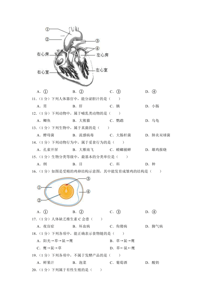 2022年辽宁省沈阳市中考生物试卷（word版，含解析）