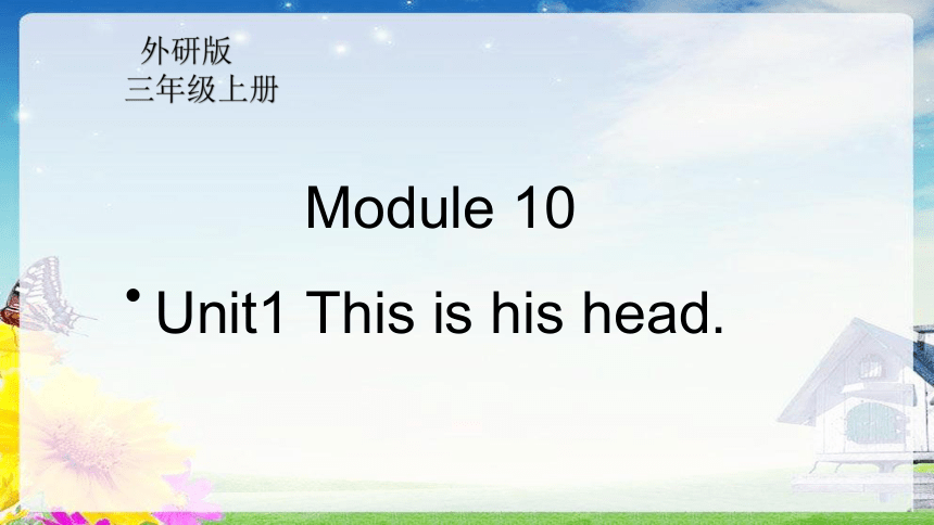 Module 10   Unit1 This is his head 课件（共27张PPT）