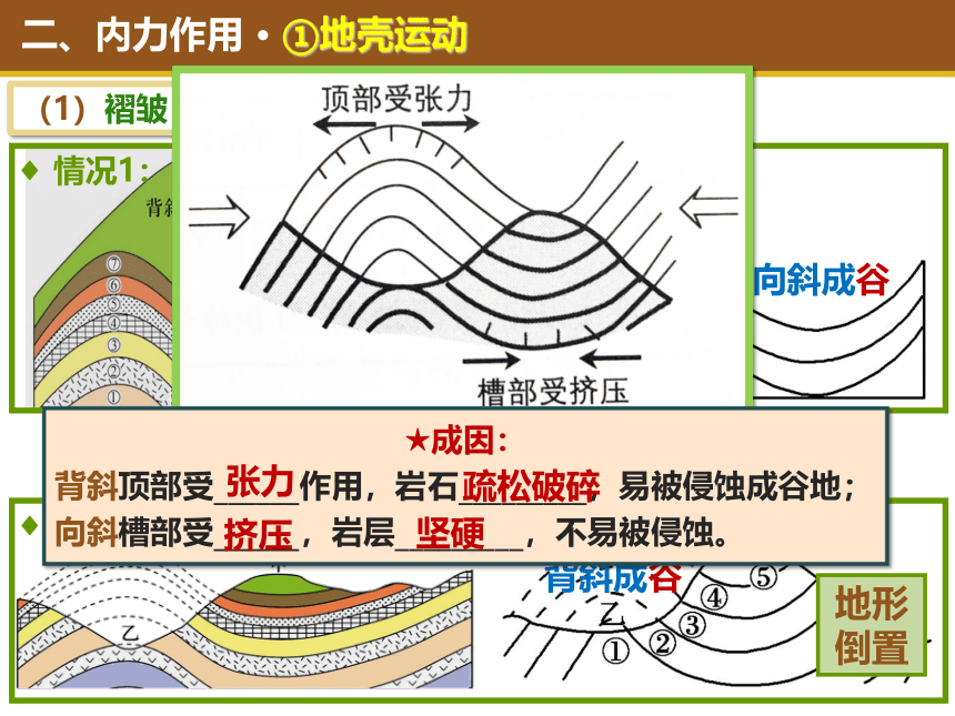 高考地理一轮复习  地质作用  11内力作用  复习课件（共32张PPT）