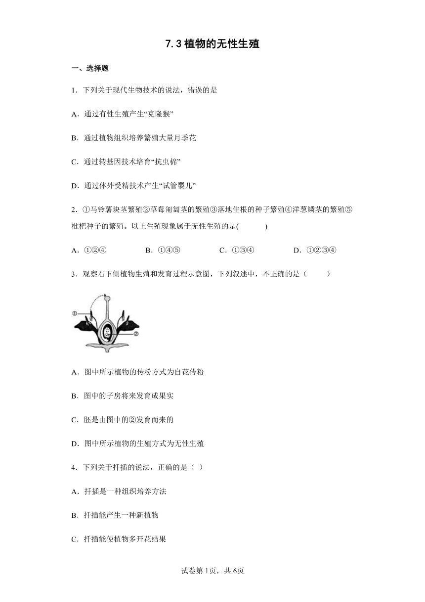 7.3植物的无性生殖 课时训练（含答案）