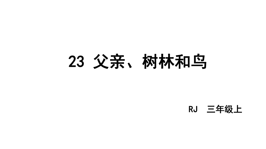 23 父亲、树林和鸟 课件 （共48张PPT）