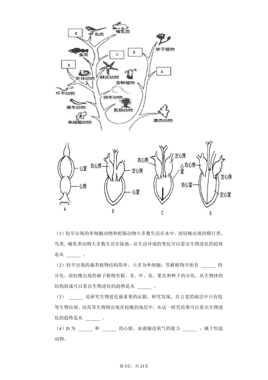 2020-2021学年山东省菏泽市郓城县八年级（下）期中生物试卷（含解析）